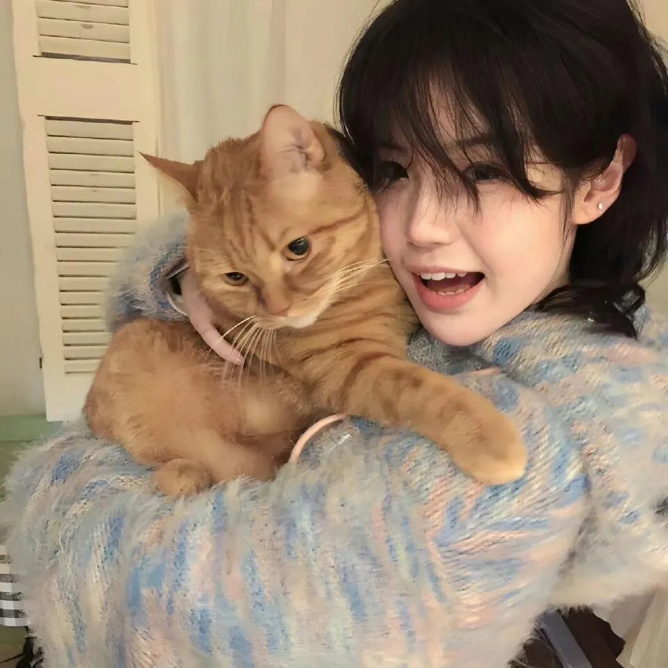 顾总夫人她赚疯了